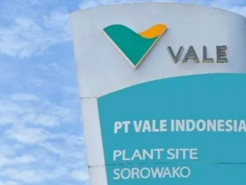 PT Vale INdonesia Tbk. Dok. Vale (Ist)
