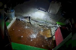 Orangtua Lalai, Bayi di Makassar Tewas Tenggelam di Kolam Ikan Rumahnya