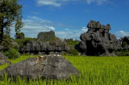 Geopark Maros Pangkep Ditetapkan Jadi Global Geopark UNESCO, Gubernur Andi Sudirman: Mari Bersama Menjaga