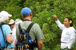 Presiden Wajibkan Sertifikasi Kompetensi Kerja Kepariwisataan