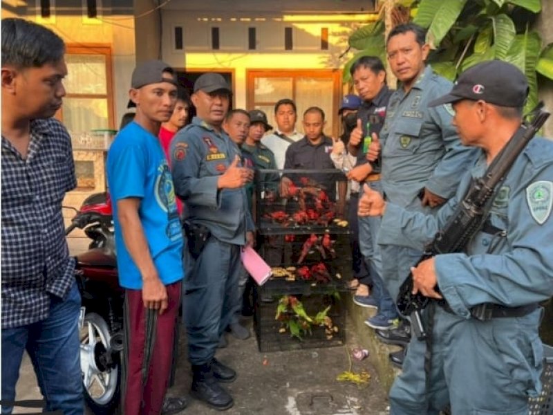 Balai Gakkum LHK Wilayah Sulawesi Seksi Wilayah I Makassar menyita 51 ekor burung tergolong jenis yang dilindungi di Goawa dan Makassar. @Jejakfakta/dok. istimewa