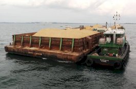 20 Tahun Dilarang, Jokowi Kembali Izinkan Ekspor Pasir Laut