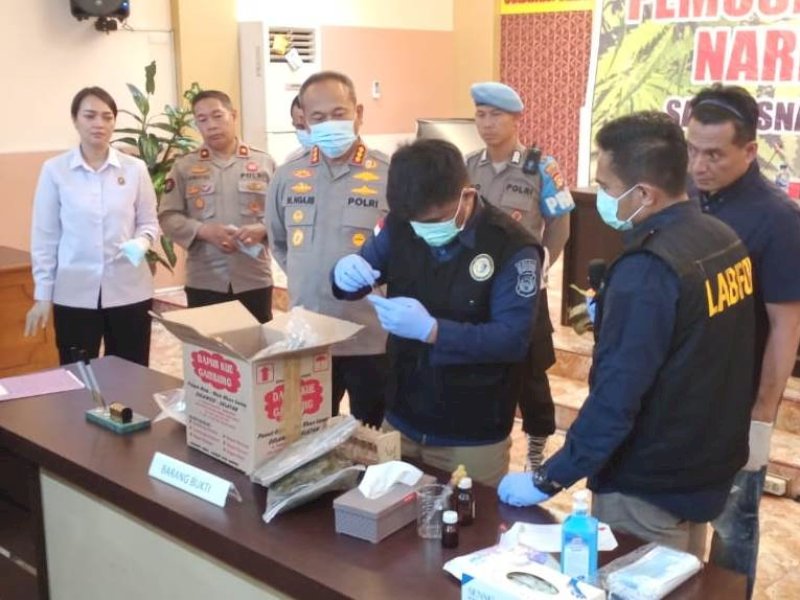 Barang bukti ganja seberat 2,8 kg di Mapolresta Makassar, Rabu (31/5/2023). @Jejakfakta/dok. Polrestabes Makassar