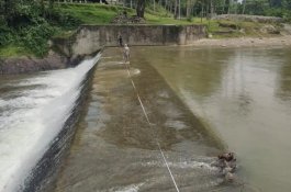 Pemprov Sulsel Tangani Rehab Irigasi Kuri-Kuri Kasimbi di Lutra