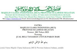 Fatwa MUI Sulsel Tentang Jual Beli Tanaman untuk Pakan Babi