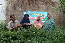 Manfaatkan Lahan Tidur, Warga Mariso Hasilkan Rp500 Ribu dari Menanam Cabai