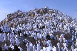 Hari Ini, Jemaah Diberangkatkan ke Arafah untuk Wukuf