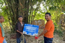 Iduladha 1444 H, Pelindo Regional 4 Makassar Sembelih 3 Ekor Hewan Qurban 