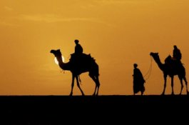 Malam Hijrah yang Menegangkan Itu 
