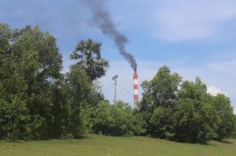 Walhi Sulsel Luncurkan Laporan Dampak Energi Kotor di Jeneponto, Ahli Ekotoksikologi Unhas: Bahaya Racun PLTU Punya Daya Toksik Tinggi