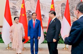 Sarang Walet hingga IKN Bahasan Presiden Jokowi dan Presiden Xi Jinping di Chengdu 