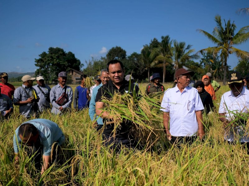 Direktur Corporate Affairs PT Vale Indonesia, Yusuf Suharso, bersama para petani padi System of Rice Intensificaiton (SRI) Organik binaan PT Vale di Desa Puuroda, Kecamatan Baula, Kabupaten Kolaka, Sulawesi Tenggara, Rabu (9/8/2023).
