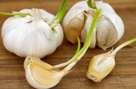 Atasi Pori-Pori Wajah hingga Masalah Rambut dengan Bawang Putih 