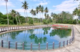 Gubernur Resmikan Embung Agrowisata Pallae, Aliri Persawahan Warga Sekaligus Lokasi Wisata