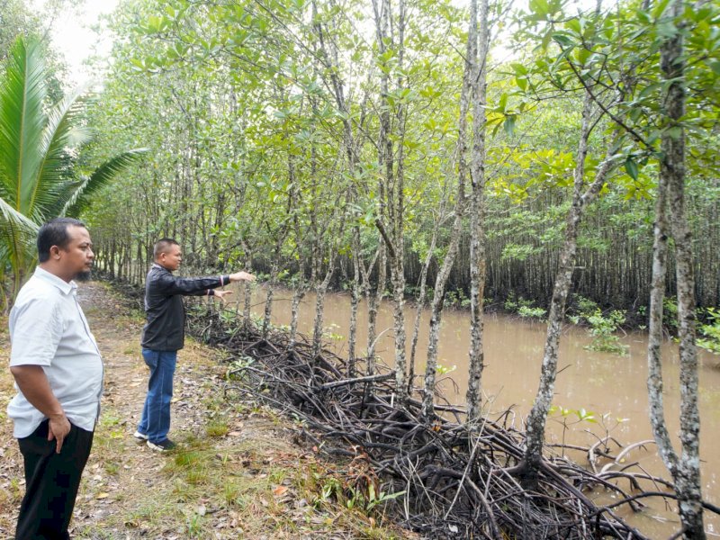  Gubernur Sulsel Andi Sudirman Sulaiman melakukan Sharing terkait Carbon Trading dengan mengunjungi hutan mangrove sekaligus menanam bibit mangrove di daerah Bintan bersama sejumlah kepala OPD di Tanjung Pinang, Provinsi Kepualuan Riau, Jumat (25/08/2023). @Jejakfakta/dok. Humas Pemprov Sulsel