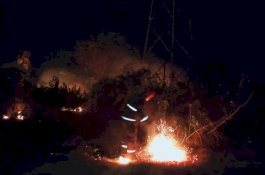 El Nino Tingkatkan Risiko Kebakaran, Pj Gubernur Bahtiar Pimpin Rakor Penanganan Karhutla