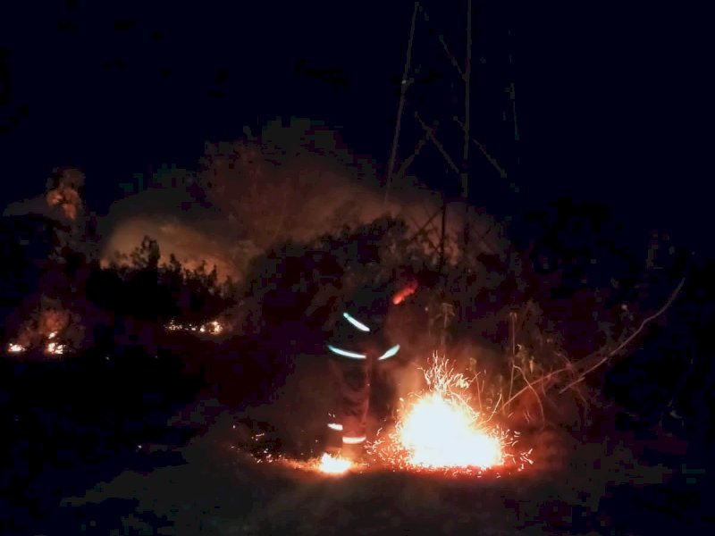 Sejumlah petugas Damkar memadamkan api dengan alat seadanya saat kebakaran lahan yang terjadi perkampungan di kecamatan Marusu Kabupaten Maros, Kamis (7/9/2023). @Jejakfakta/dok. Damkar Maros