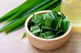 Saatnya Pilih Pandan: Cegah Jantungan, Kontrol Gula hingga Atasi Kulit Luka Bakar