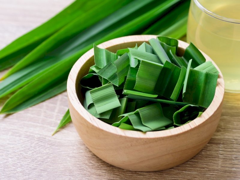 Sajian daun pandan. (Sumber: healthline).