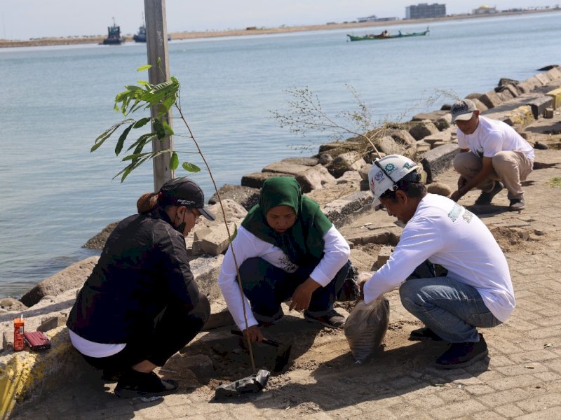 Pelindo Regional 4 melalui Tanggung Jawab Sosial dan Lingkungan (TJSL) menggelar &ldquo;Program Pelindo Menanam Pohon&rdquo; dengan melakukan penanaman sebanyak 2.500 bibit pohon di sekitar area pelabuhan, Sabtu (16/9/2023). @Jejakfakta/dok Humas Pelindo 4