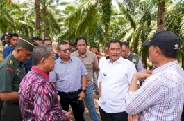 Pj Gubernur Bahtiar Produktifkan Lahan Milik PTPN XIV untuk Ditanami Pisang 