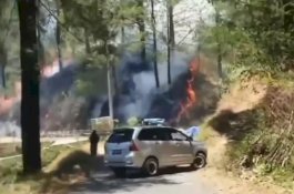 Hutan Pinus di Gowa Terbakar, Pengendara Dilarang Melintas