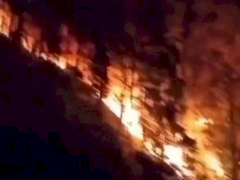 Kebakaran melanda kawasan Hutan Pinus Loka, Kecamatan Rumbia, Jeneponto, Kamis (28/9/2023) dini hari. Foto: Muslimin Emba Tribun-Timur