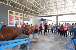 Kunjungan ke Pucak Maros, Pj Gubernur Bahtiar Dorong Inseminasi Buatan Tingkatkan Populasi Ternak&nbsp;