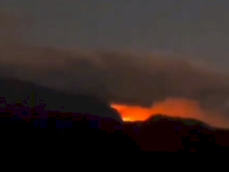 Kebakaran terjadi di kawasan hutan Lembah Ramma dan kebun kopi warga Topidi. @Jejakfakta/Samsir