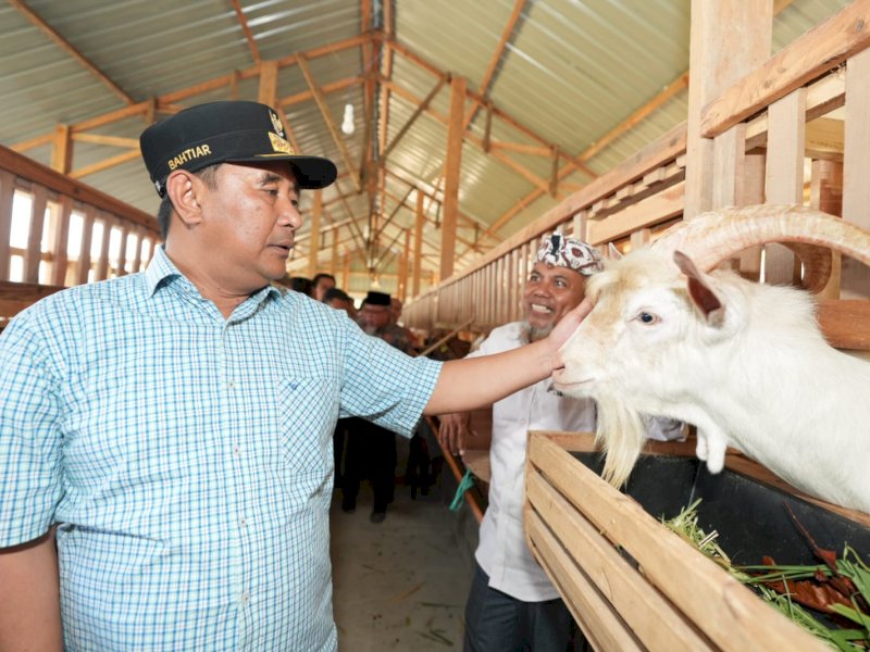 (Pj) Gubernur Sulsel, Bahtiar Baharuddin mengunjungi pertenakan ayam dan kambing di Moncongloe, Kecamatan Manuju, Kabupaten Gowa, Kamis (19/10/2023). @Jejakfakta/dok. Humas Pemprov Sulsel