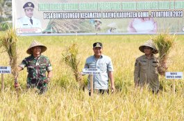 Panen Raya di Gowa, Sulsel Sukses Tangani Dampak El Nino