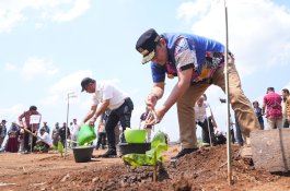 Pj Gubernur Sulsel Tanam Pisang di Lahan 20 Hektare di Sinjai
