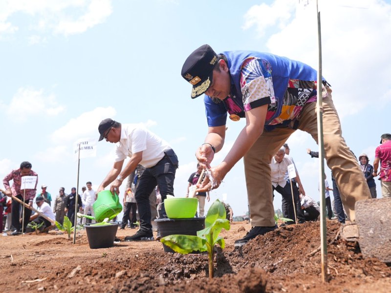  Pj Gubernur Sulsel, Bahtiar Baharuddin, melakukan penanaman pisang bersama Pj Bupati Sinjai, Bupati Bulukumba, dan seluruh Forkopimda, di Kelurahan Mannanti, Kecamatan Tellu Limpoe, Kabupaten Sinjai, Jumat (27/10/2023) kemarin. @Jejakfakta/dok. Humas Pemprov Sulsel