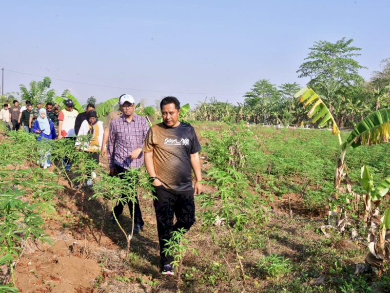 Penjabat (Pj) Gubernur Sulsel, Bahtiar Baharuddin, meninjau lahan milik Pemprov Sulsel yang berada di Dusun Tambung, Desa Paccelekang, Kecamatan Pattalasang, Kabupaten Gowa, Minggu (29/10/2023). @Jejakfakta/dok. Humas Pemprov Sulsel