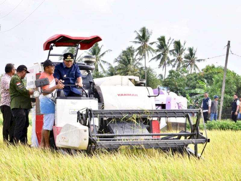 Pj Gubernur Sulsel, Bahtiar Baharuddin melakukan panen dengan memotong padi menggunakan combine harvester saat kunjungan kerja di Kabupaten Pinrang di Desa Pananrang, Kecamatan Mattiro Bulu, Kamis (2/11/2023). @Jejakfakta/dok. Humas Pemprov Sulsel