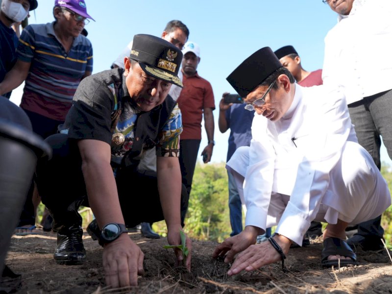 Pj Gubernur Sulsel, Bahtiar Baharuddin bersama Anre Gurutta (AG) Prof. Dr. KH. Nasaruddin Umar dan Pemerintah Kabupaten Wajo menanam pisang cavendish, cabe dan nanas di lahan milik pesantren As'diayah Sengkang di Desa Loa, Kecamatan Tana Sitolo, Kabupaten Wajo, Sulawesi Selatan, Jumat sore (3/11/2023). @Jejakfakta/dok. Humas Pemprov Sulsel