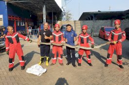 Geger, Ular Piton 6 Meter Ditemukan Warga di Karuwisi Utara