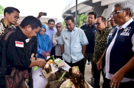 Pemprov Kumpulkan Penyuluh Pertanian se Sulsel, Bahas Budidaya Pisang