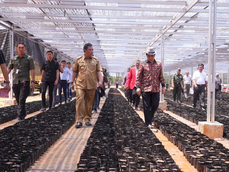 Gubernur Sulsel, Bahtiar Baharuddin, saat menghadiri Launching Berjuta Bibit Pisang Cavendish, di Universitas Hasanuddin, Kamis (16/11/2023). @Jejakfakta/dok. Humas Pemprov Sulsel