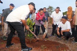 Tanam Bibit Nangka Madu di Bulukumba, Pj Gubernur Bahtiar: Jangan Biarkan Lahan Kosong