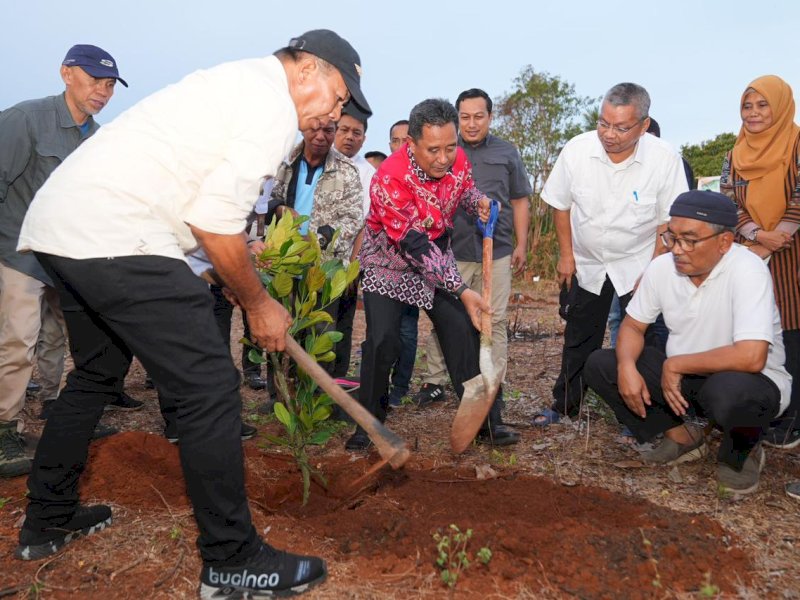 Penjabat (Pj) Gubernur Sulawesi Selatan (Sulsel), Bahtiar Baharuddin dan Bupati Bulukumba, Andi Muchtar Ali Yusuf, memulai program ketahanan pangan Penanaman Bibit Nangka Madu. Penanaman ini dilakukan secara simbolis dengan 40 bibit pohon di lahan milik warga di Kelurahan Lemo-lemo, Kecamatan Bonto Bahari, Kabupaten Bulukumba, Jumat (24/11/2023). @Jejakfakta/dok. Humas Pemkab Bulukumba