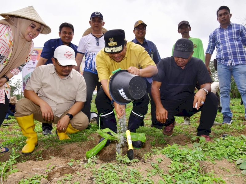 Penanaman serentak pisang cavendish di delapan kecamatan se-Kabupaten Bantaeng, yang dihadiri secara langsung Penjabat Gubernur Sulsel, Bahtiar Baharuddin, yang dipusatkan di Desa Bonto-Bontoa, Kecamatan Tompobulu, Kabupaten Bantaeng, Kamis (7/12/2023). @Jejakfakta/dok. Pemprov Sulsel