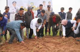 Petani di Malino Mengeluh Kekurangan Modal, Pj Gubernur Bahtiar Telepon Bank Sulselbar untuk Salurkan KUR