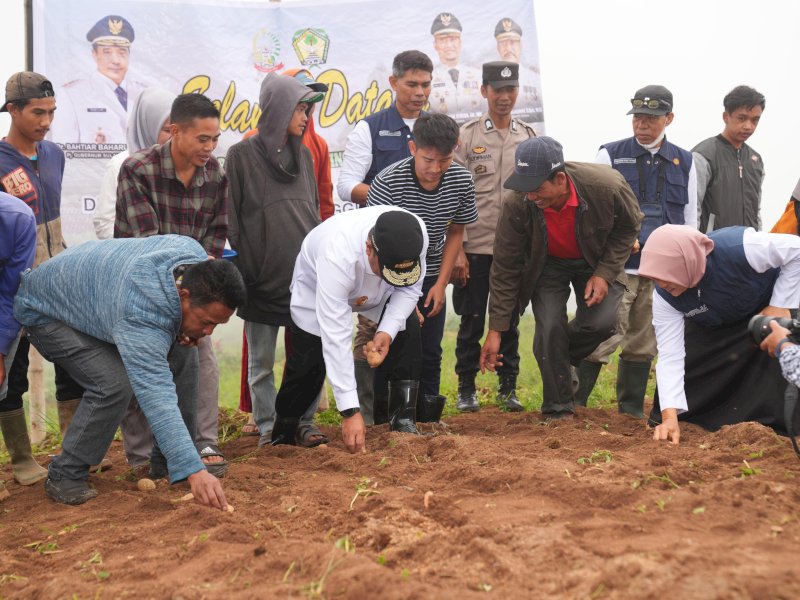 Pj Gubernur Sulsel Bahtiar Baharuddin melakukan penanaman kentang bersama petani, di Kelurahan Pattapang, Tinggimoncong, Rabu (3/1/2023). @Jejakfakta/dok. Humas Pemprov Sulsel