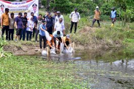 Tingkatkan Gizi Masyarakat, DKP Sulsel Kembali Tebar 20 Ribu Bibit Ikan Nila di Bone