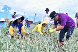 Ditemui Pj Gubernur Sulsel, Petani Bawang Enrekang Kisahkan Biaya Kuliah Anak