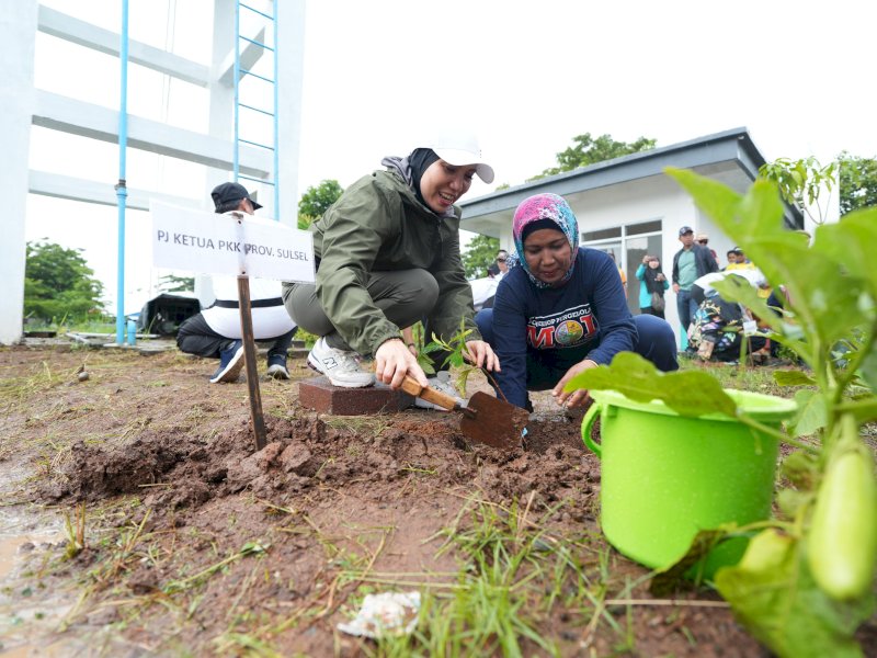 Pj Ketua TP PKK Sulsel Sofha Marwah, melakukan penanaman sukun di MoI dan Kawasan BSO, Minggu (14/1/2024). @Jejakfakta/dok. Humas Pemprov Sulsel