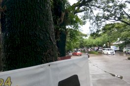 Penampakan Pelanggaran APK Peserta Pemilu 2024 di Kota Makassar