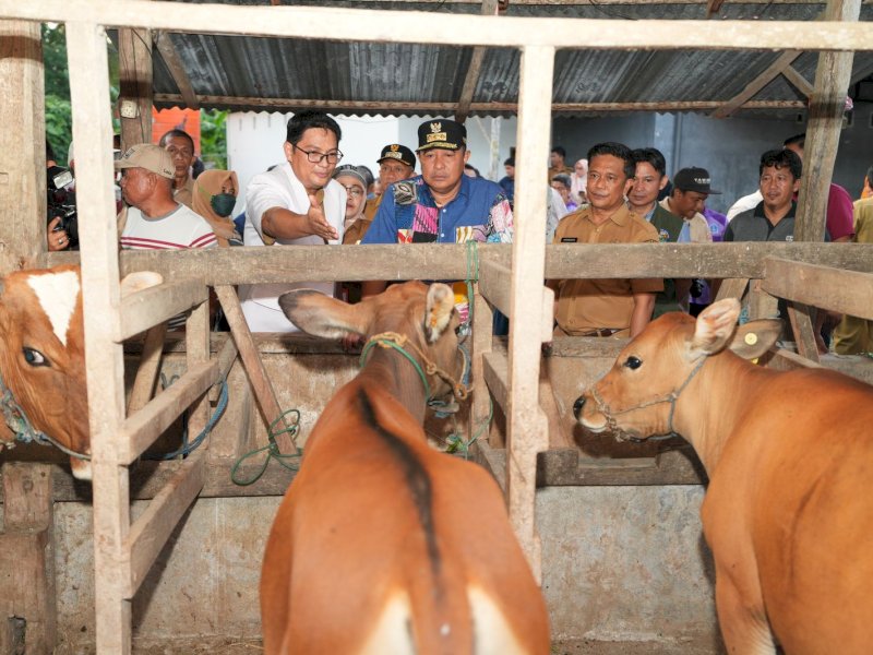  Penjabat Gubernur Sulsel, Bahtiar Baharuddin, mengunjungi peternakan warga yang telah menerapkan inseminasi buatan, di Jalan KH Abdul Hamid Lingkungan Tanete, Kelurahan Biru, Kecamatan Tanete Riattang, Kabupaten Bone, Selasa (23/1/2024). @Jejakfakta/dok. Humas Pemprov Sulsel