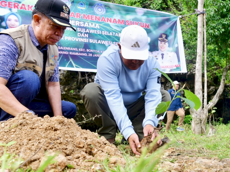 Penjabat Gubernur Sulsel, Bahtiar Baharuddin melakukan penanaman sukun di Rammang-rammang, tepatnya di Dermaga 2, Minggu (28/1/2024).&nbsp;@Jejakfakta/dok. Humas Pemprov Sulsel